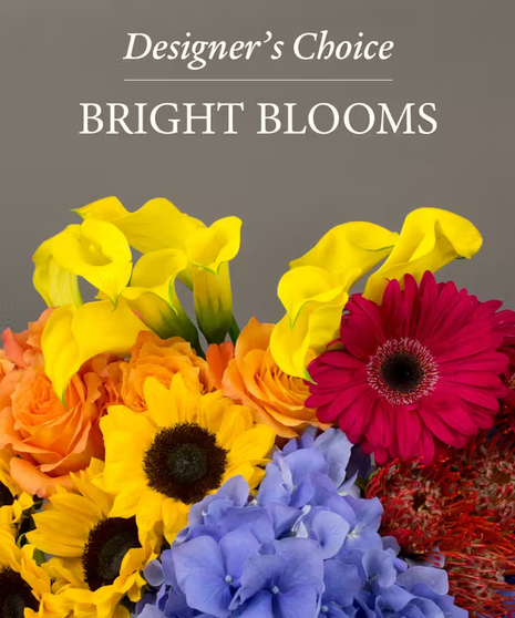 Designer's Choice  - Bright Blooms